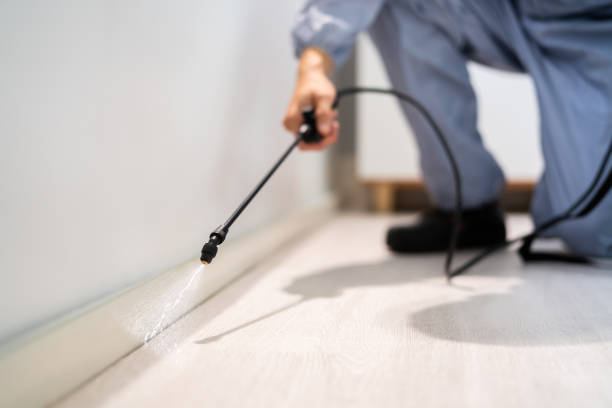 Bed Bug Pre-Treatment Preparation Assessment in Lyndhurst