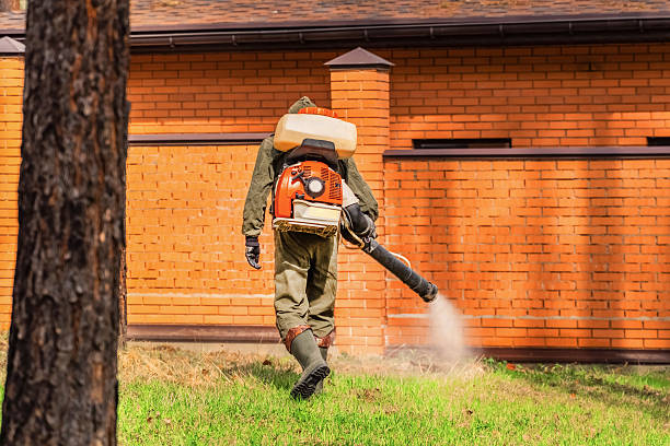Bed Bug Clearance Verification and Documentation in Lyndhurst